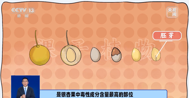 middle_1065x551-092721_v3_14861760059641584_12b2858f14d652edfc21839418ca77fe.png