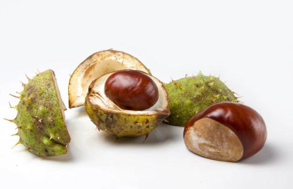 Capture d’écran 2025-10-15 à 11.19.11.png