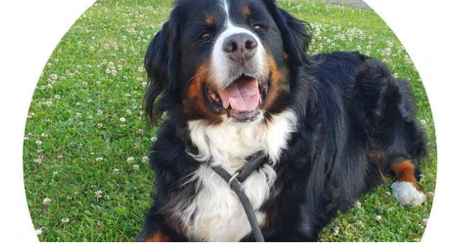 Capture d’écran 2025-10-20 à 17.02.31.png