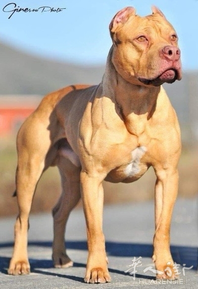 picture.jpg