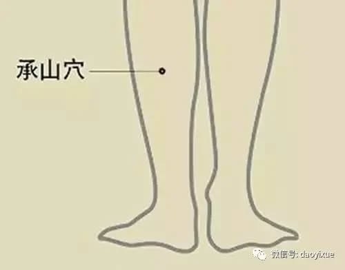 573321710_2652921791726557_3736857225133092253_n.jpeg