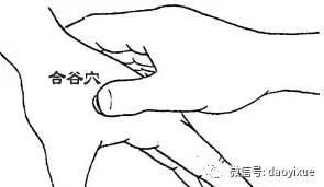 574564587_2652935458391857_6917535121664494913_n.jpeg