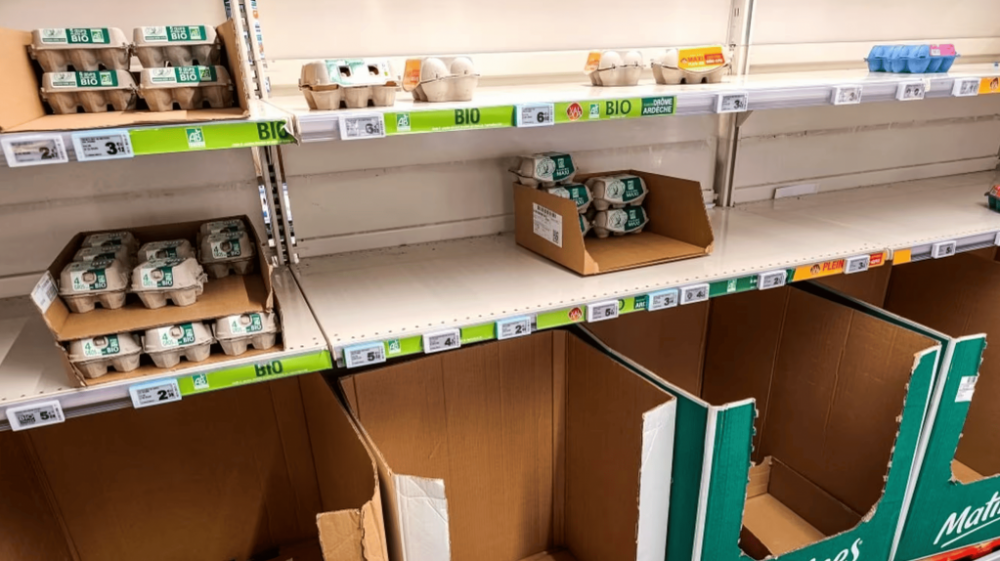 截屏2025-11-07 11.10.56.png