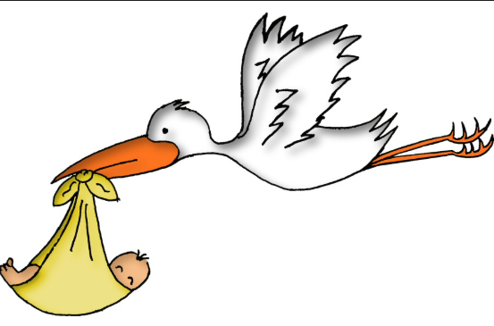 Capture d’écran 2025-11-10 à 13.35.46.png