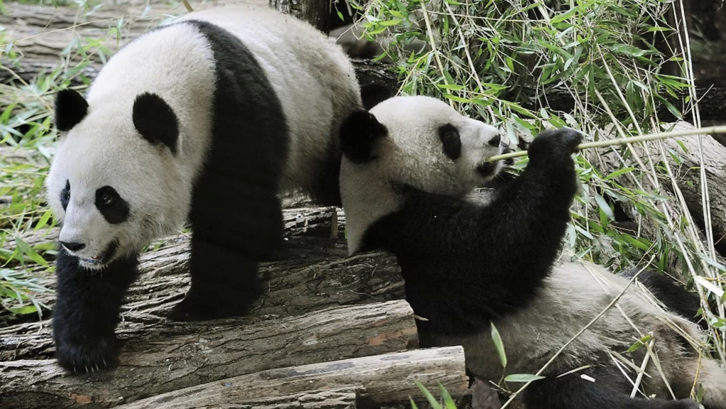 截屏2025-11-23 19.25.21.png