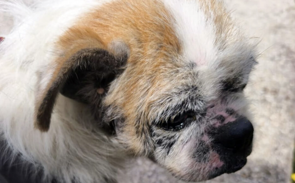 截屏2025-11-23 19.48.45.png