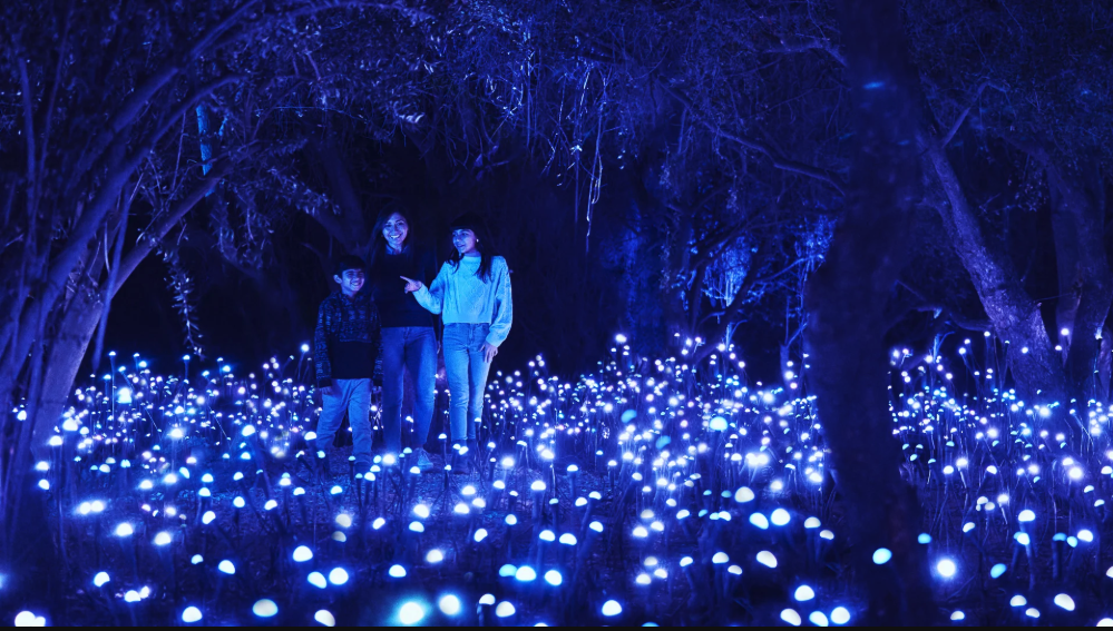 Capture d’écran 2025-11-24 à 11.16.58.png