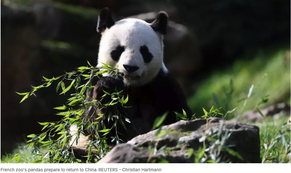 Capture d’écran 2025-11-24 à 12.56.38.png