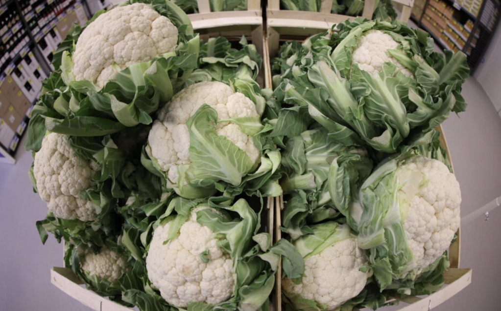 截屏2025-12-14 07.39.22.png