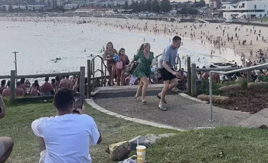 Capture d’écran 2025-12-14 à 13.23.31.png