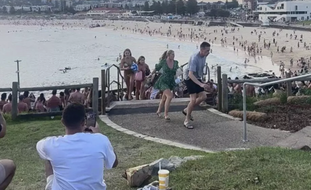 Capture d’écran 2025-12-14 à 13.23.31.png