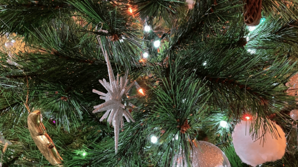 截屏2025-12-15 07.45.24.png