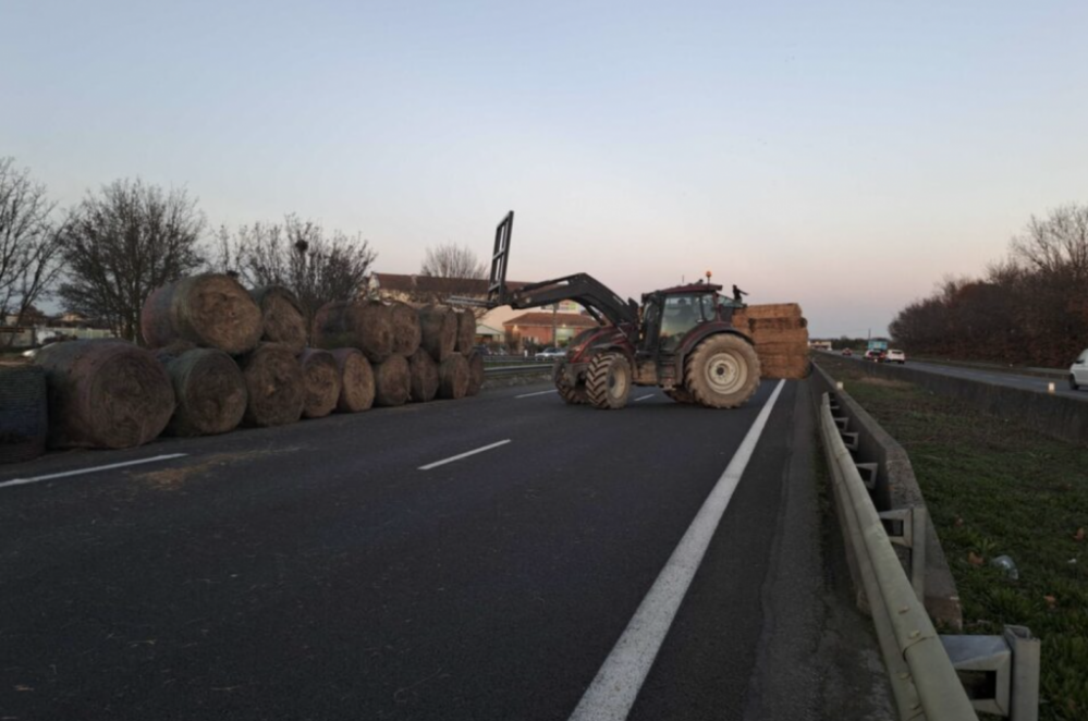 截屏2025-12-16 10.03.44.png