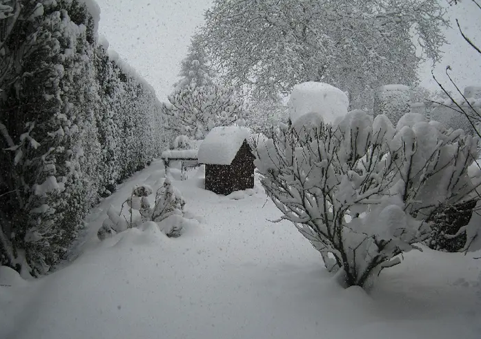 Capture d’écran 2025-12-22 à 09.48.41.png