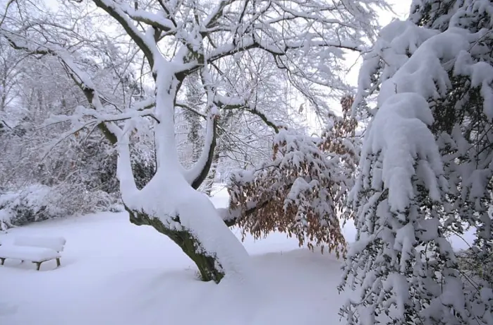 Capture d’écran 2025-12-22 à 09.49.02.png