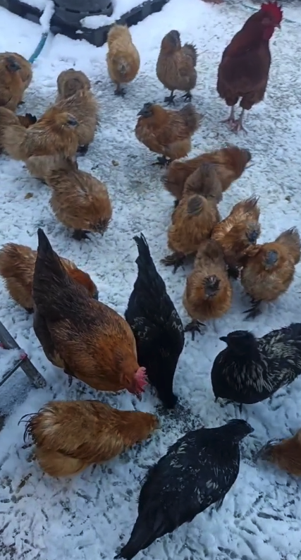 Capture d’écran 2026-01-09 à 18.02.22.png