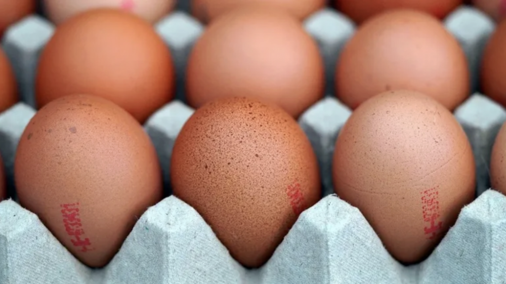 截屏2026-01-12 10.38.58.png