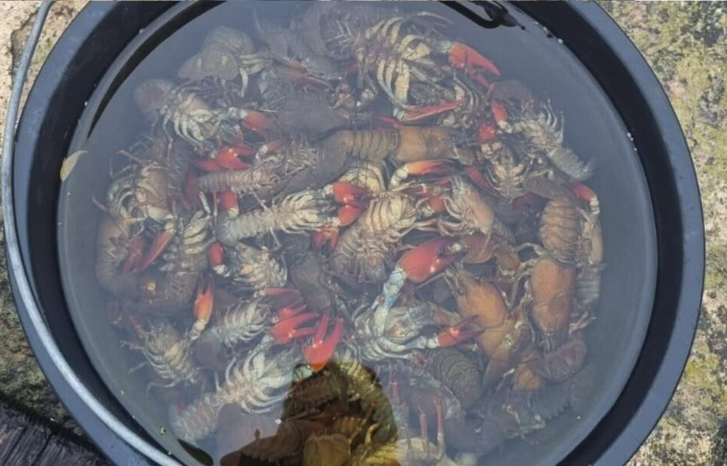 Capture d’écran 2026-01-13 à 15.41.58.png