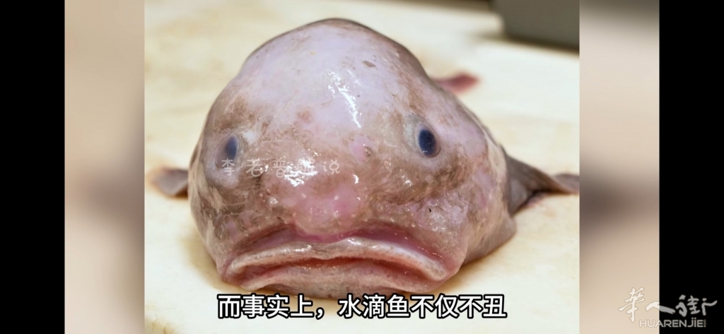 picture.jpg