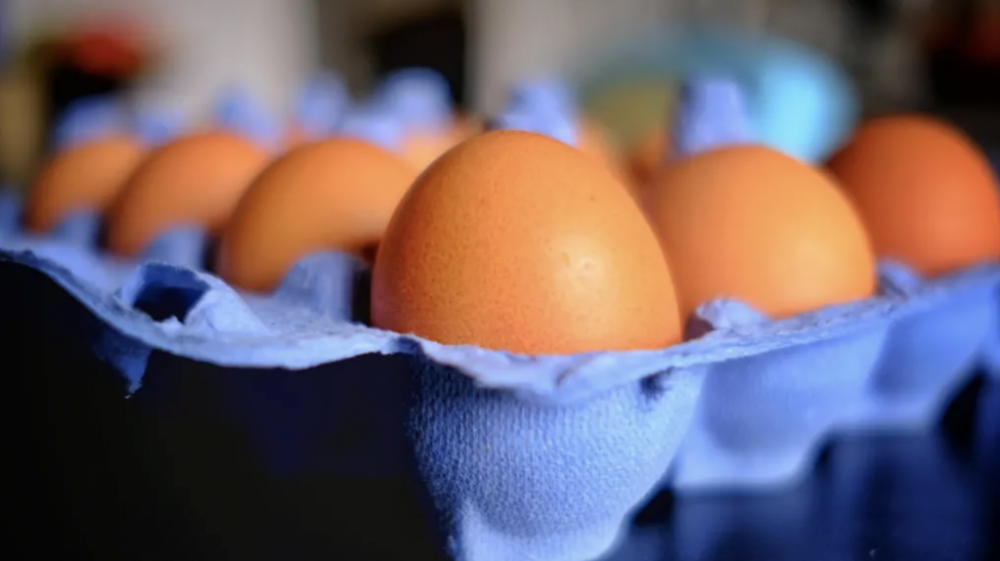 截屏2026-02-02 17.34.45.png