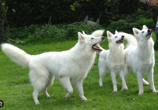 Capture d’écran 2026-02-03 à 15.20.34.png