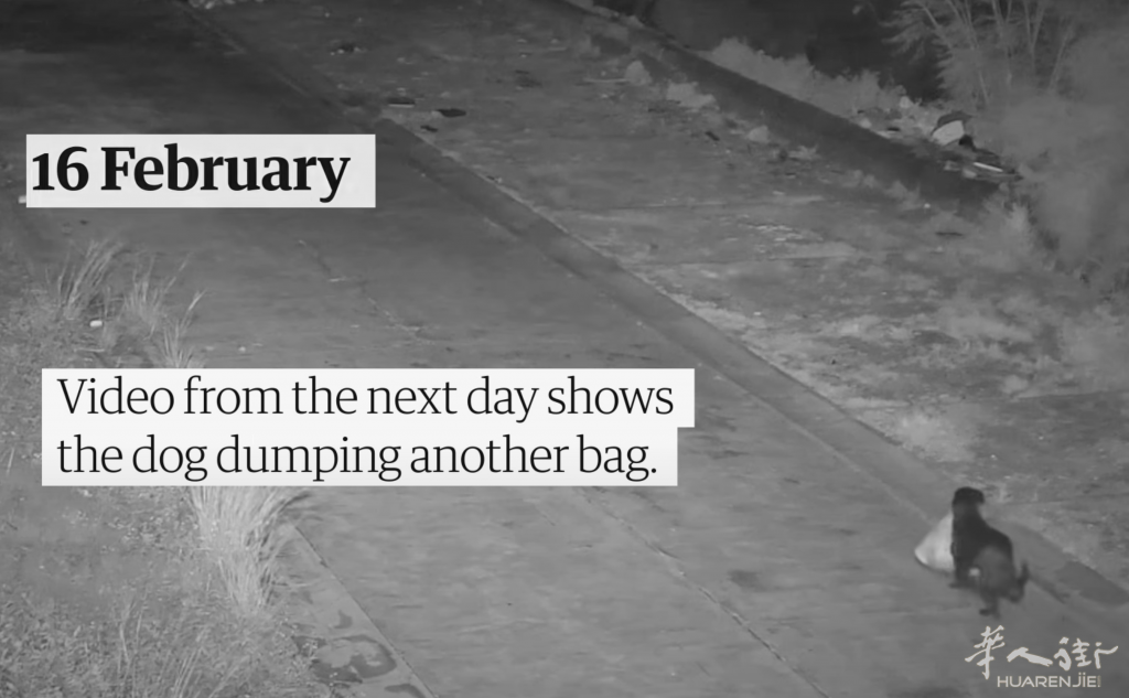 截屏2026-02-20 20.36.04.png