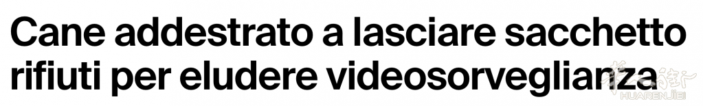 截屏2026-02-20 20.28.14.png