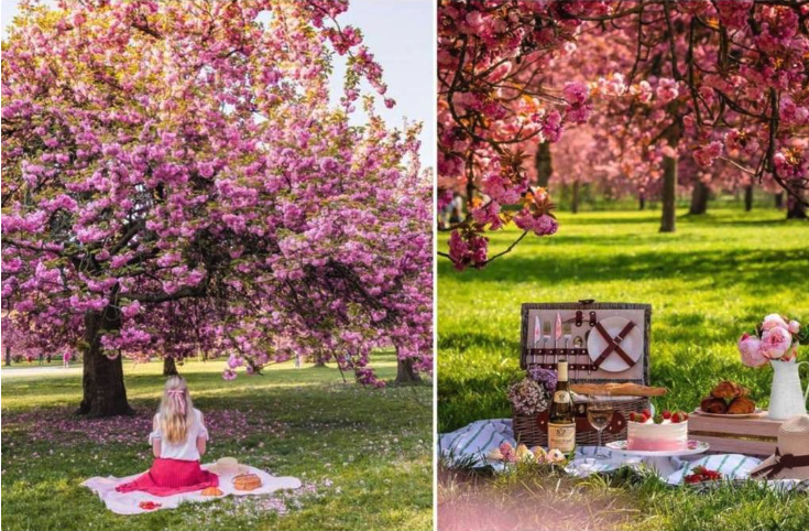 Capture d’écran 2026-02-20 à 14.02.12.png