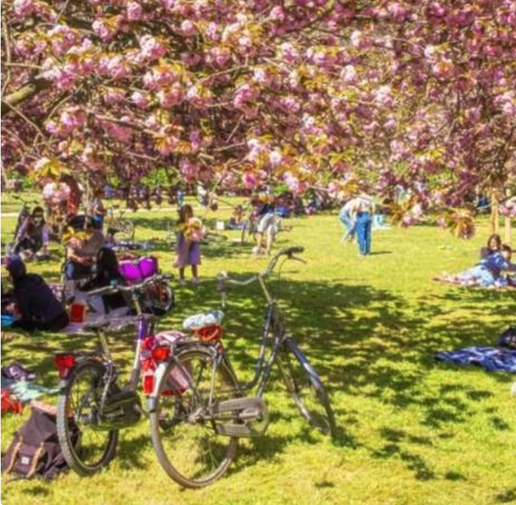 Capture d’écran 2026-02-20 à 14.02.25.png