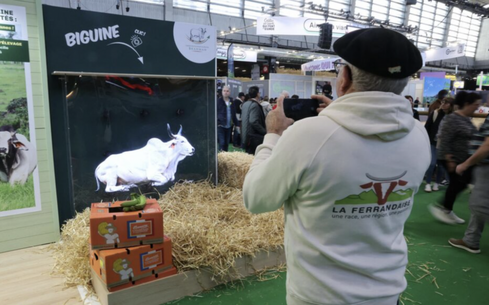 截屏2026-03-01 20.05.47.png