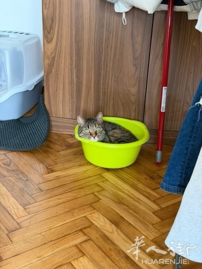 picture.jpg