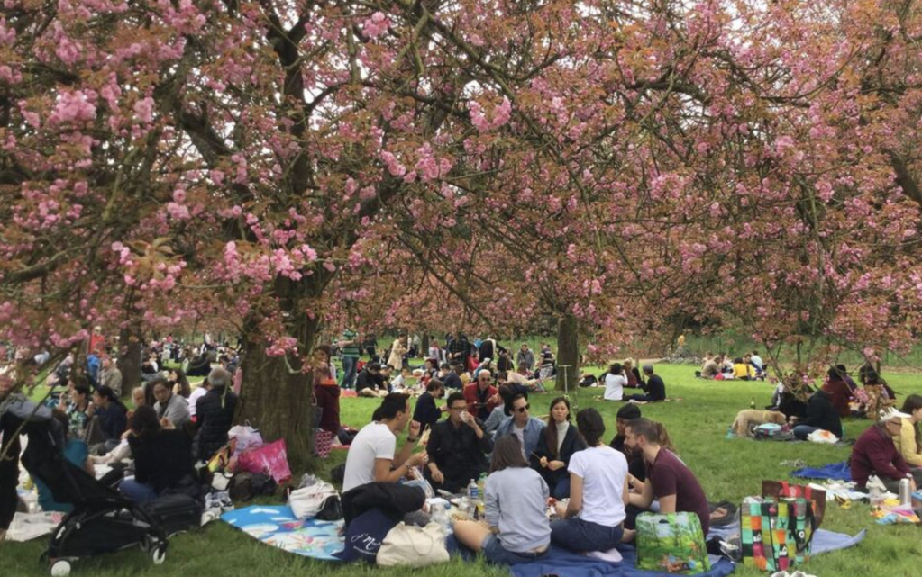 截屏2026-03-11 19.12.56.png