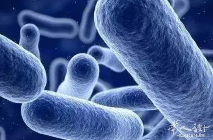 李斯特菌感染致2死，多款熟食召回！