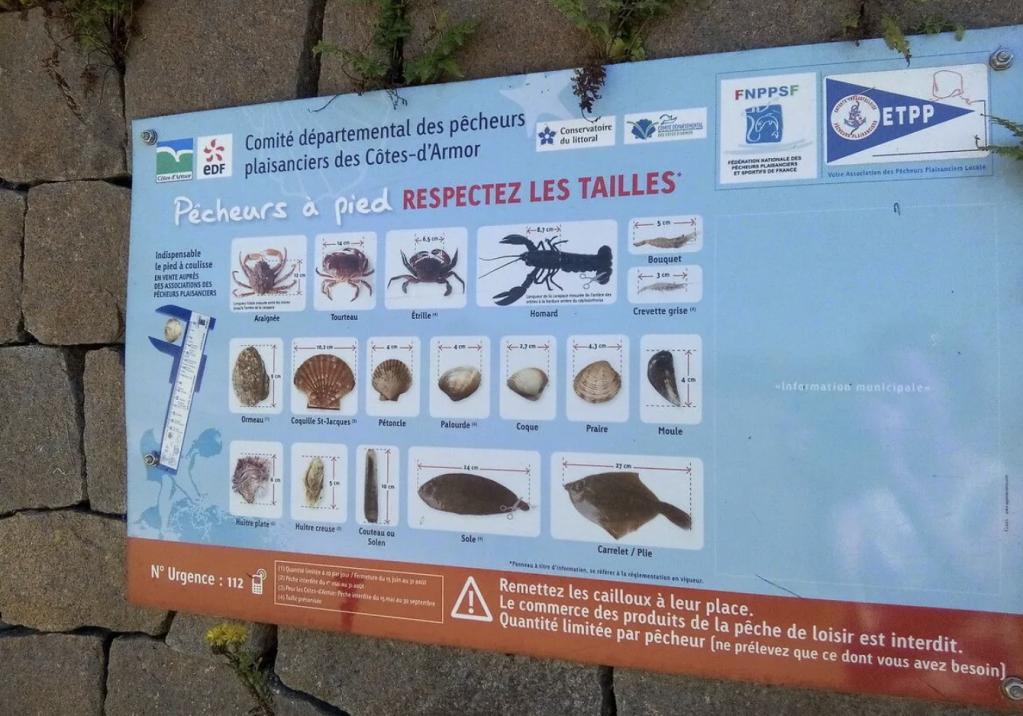 Capture d’écran 2026-03-18 à 20.33.32.png