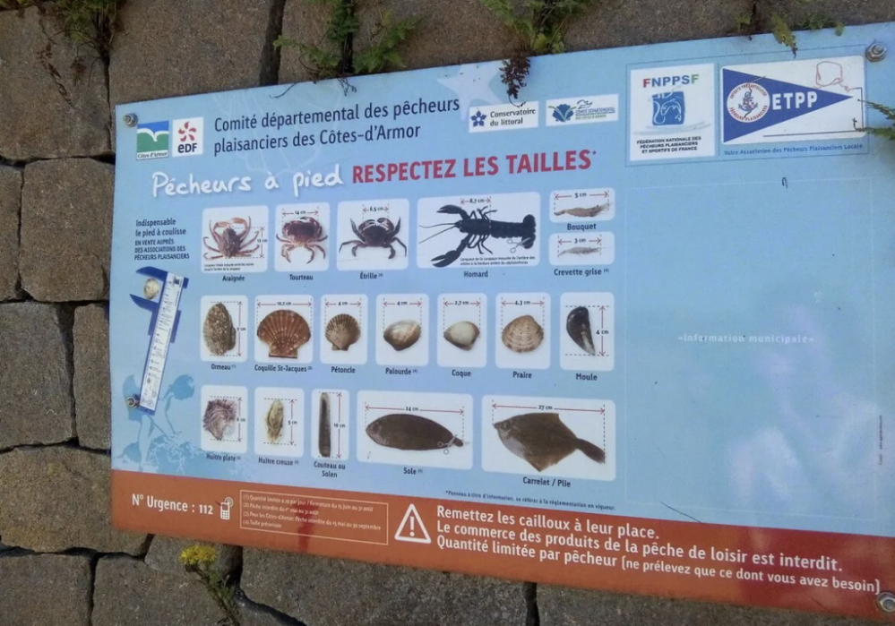 Capture d’écran 2026-03-18 à 20.33.32.png