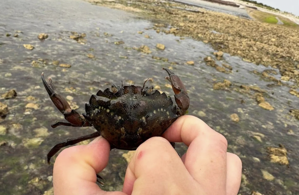 Capture d’écran 2026-03-18 à 20.33.21.png