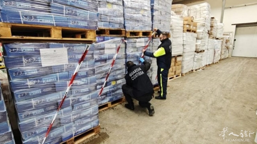 “Shamshir”行动收网：查获逾26吨违规海产品，罚款4万欧元