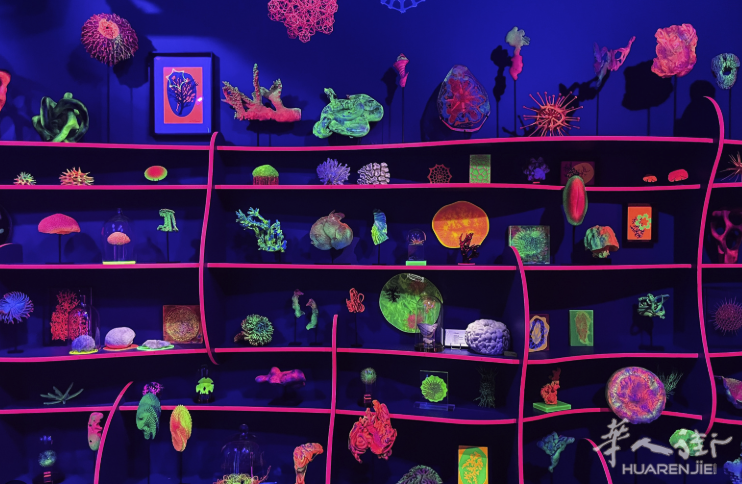 截屏2026-03-23 12.14.59.png