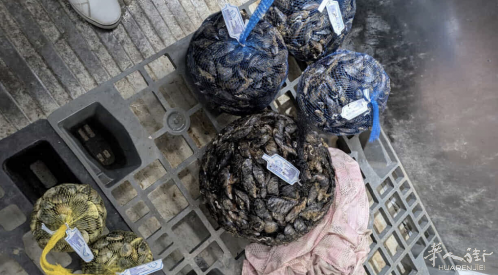 截屏2026-03-27 17.37.52.png