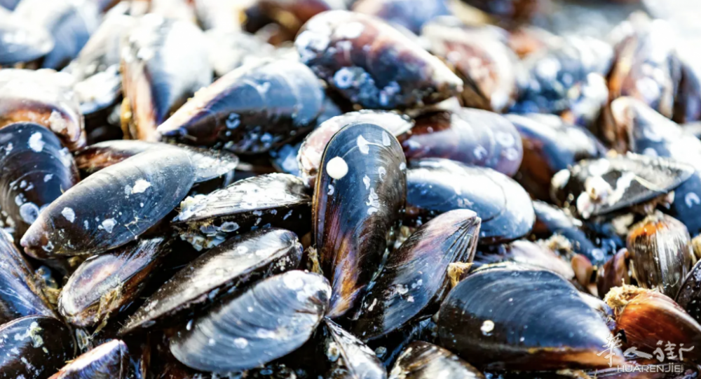 截屏2026-03-27 17.38.16.png