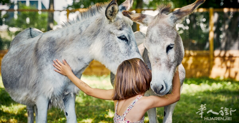 La ferme de la Villette.png
