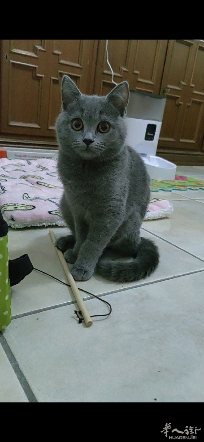 picture.jpg