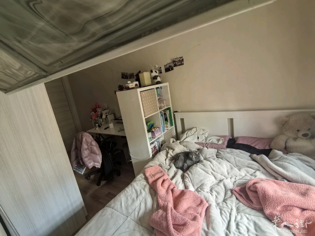 picture.jpg