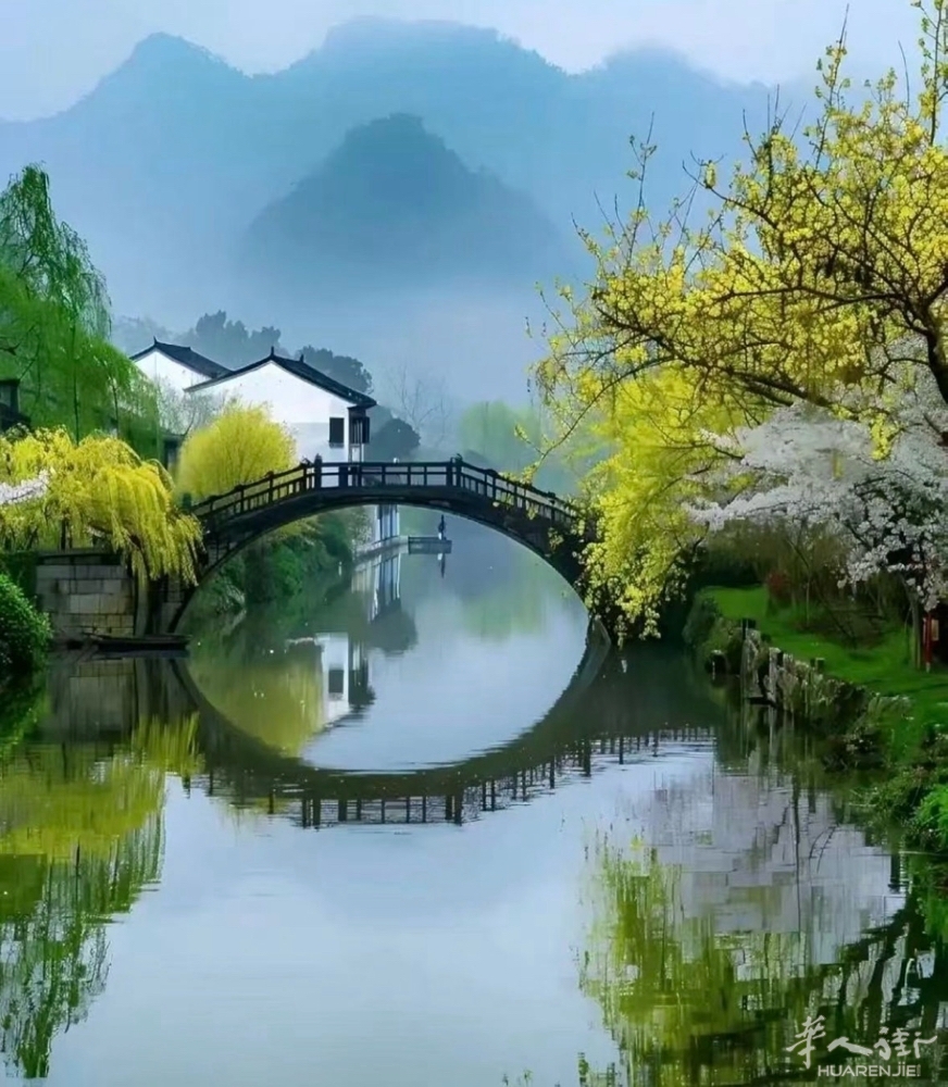 七律.春愁花粉过敏 叶福庆（法国） 人因花粉死将去，景得东风活过来。 泪下嚏喷难