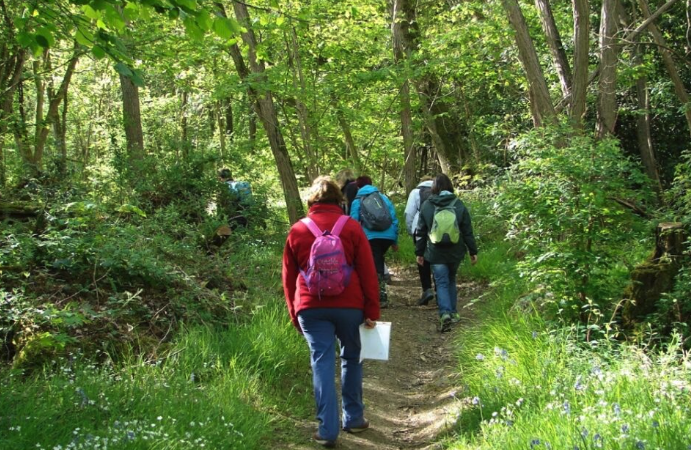 Capture d’écran 2026-03-30 à 14.20.47.png