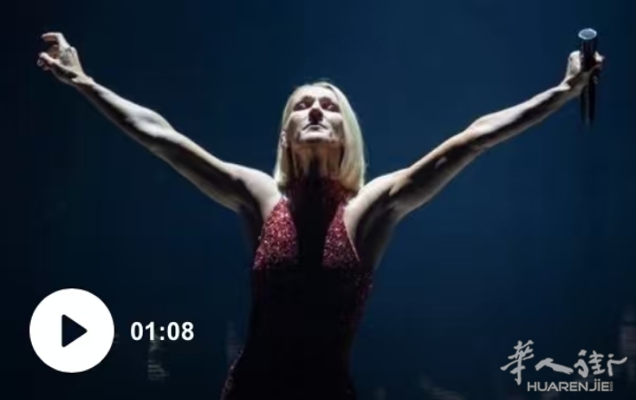 席琳·迪翁粉丝遭诈骗，假网站卷款跑路！