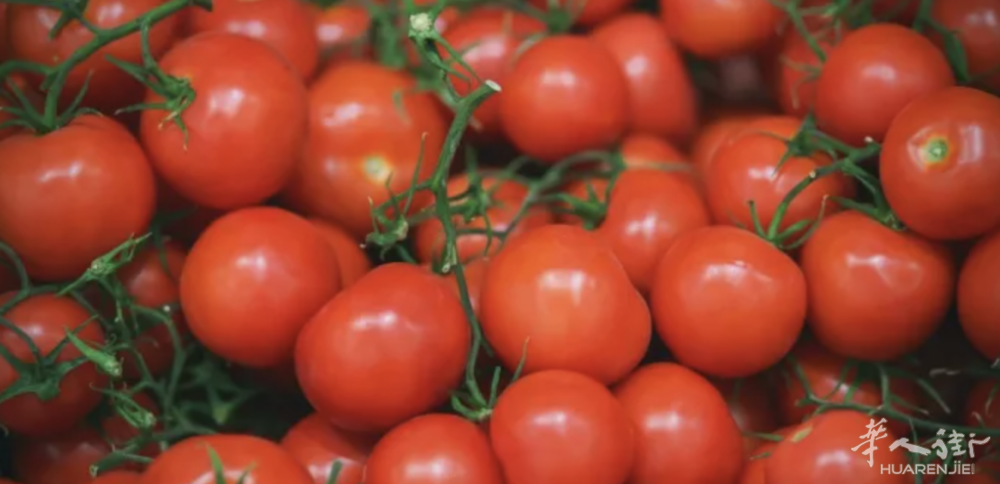 截屏2026-04-03 22.55.46.png