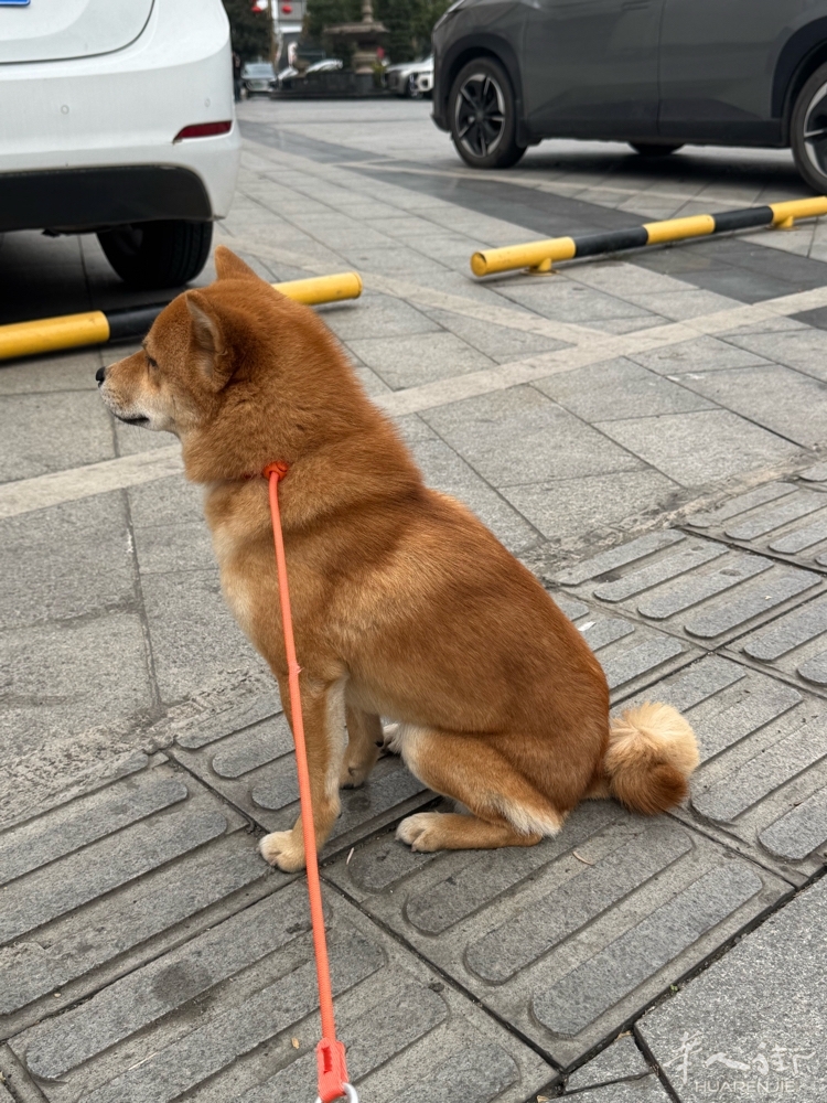 picture.jpg