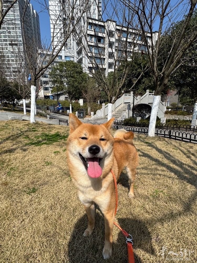 picture.jpg