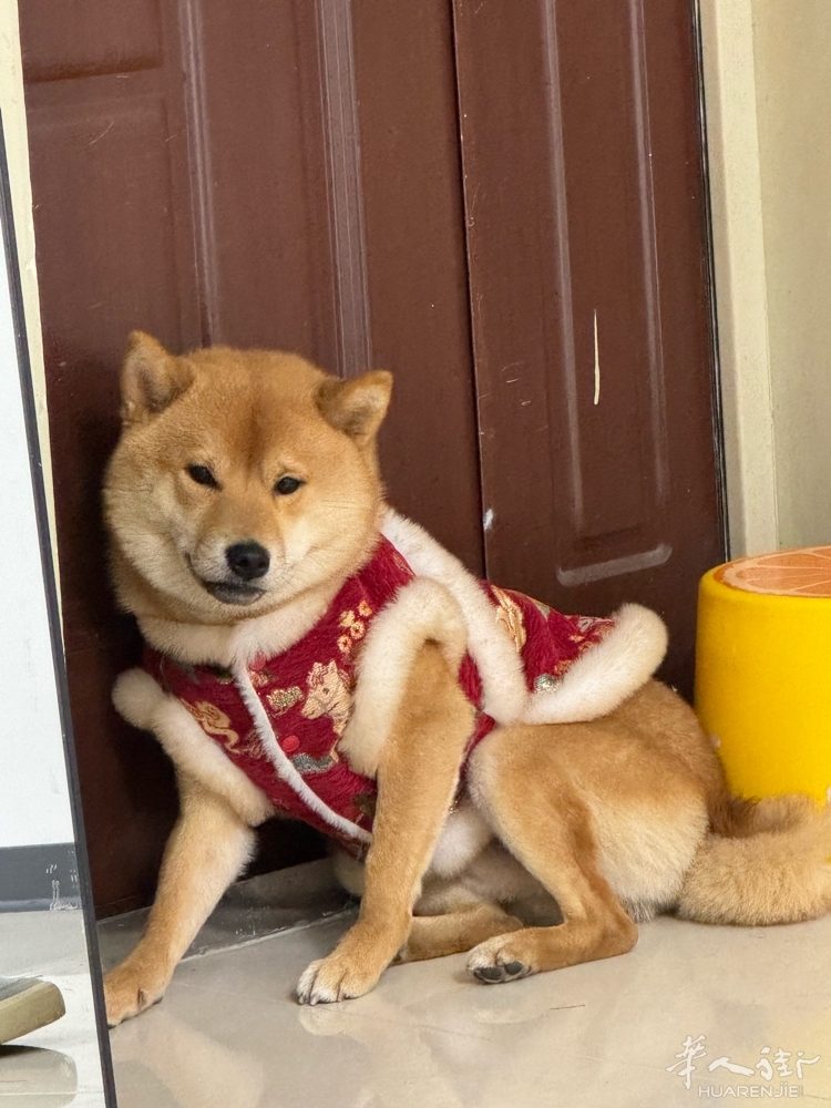 picture.jpg